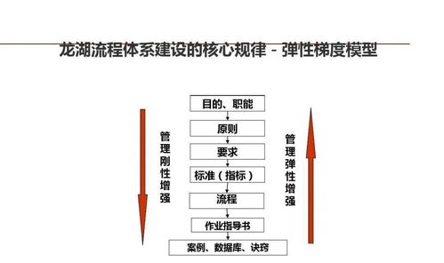 龙湖集团 以精细化管理锻造企业标杆的运营之道