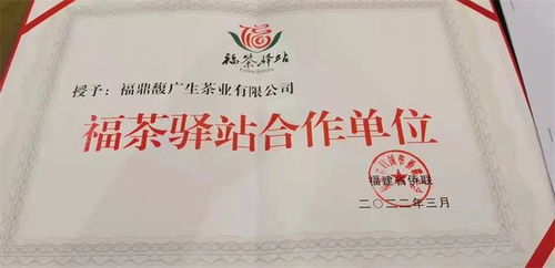 福茶驿站携手合作企业，借侨优势扬帆出海，共谋茶业新篇章